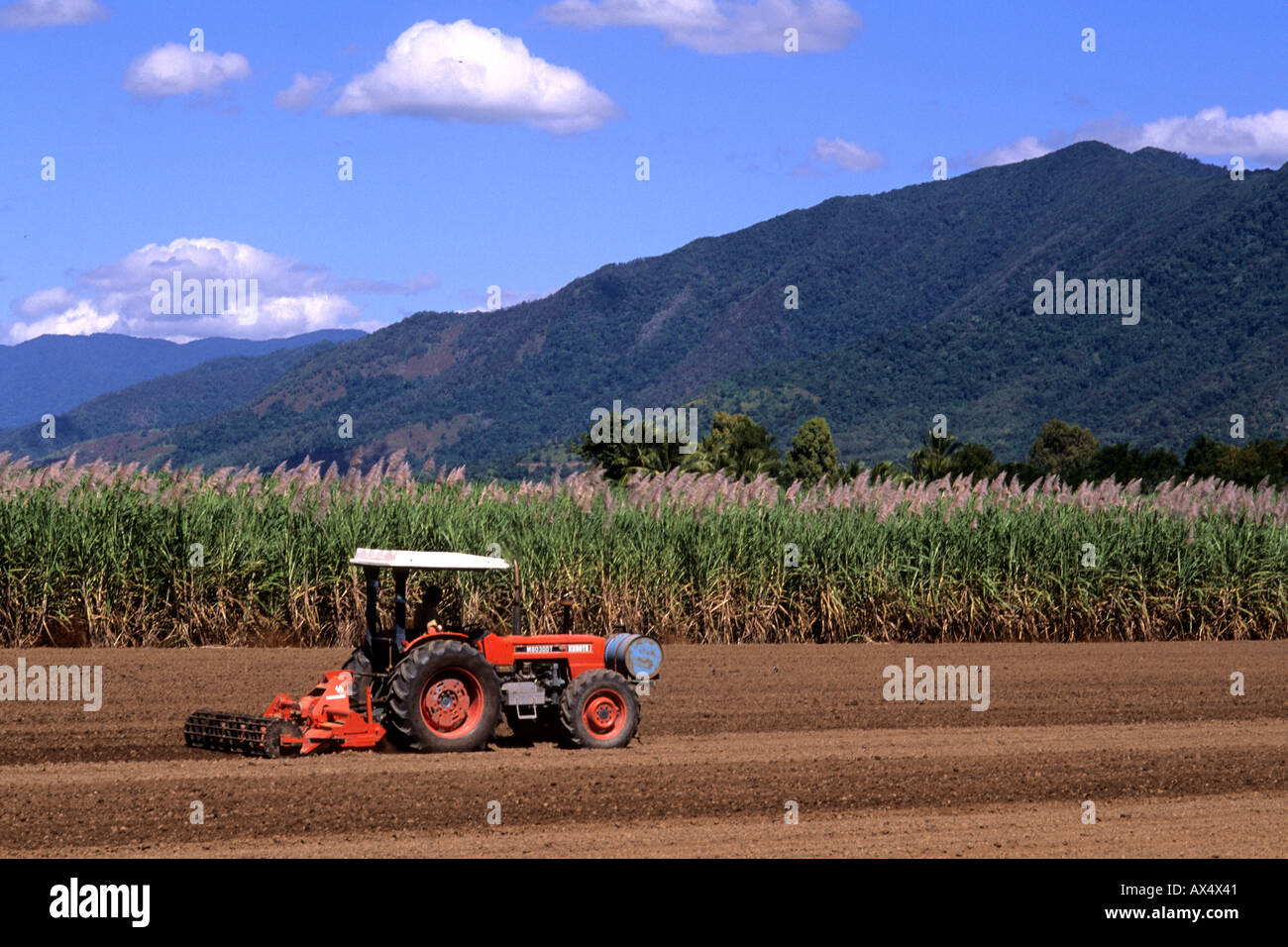 Traktor Pflügen der Felder am lokalen Zucker Farm in der Nähe von Rex Lookout in Cairns-Australien-Queensland Stockfoto