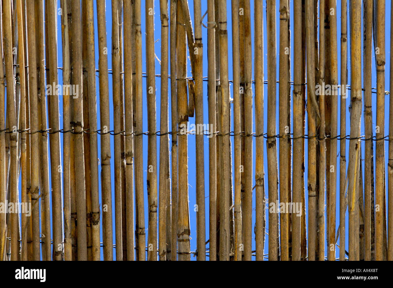 Bambus Schatten Abdeckung Stcke Zaun Sonnenschirm Stockfotografie - Alamy