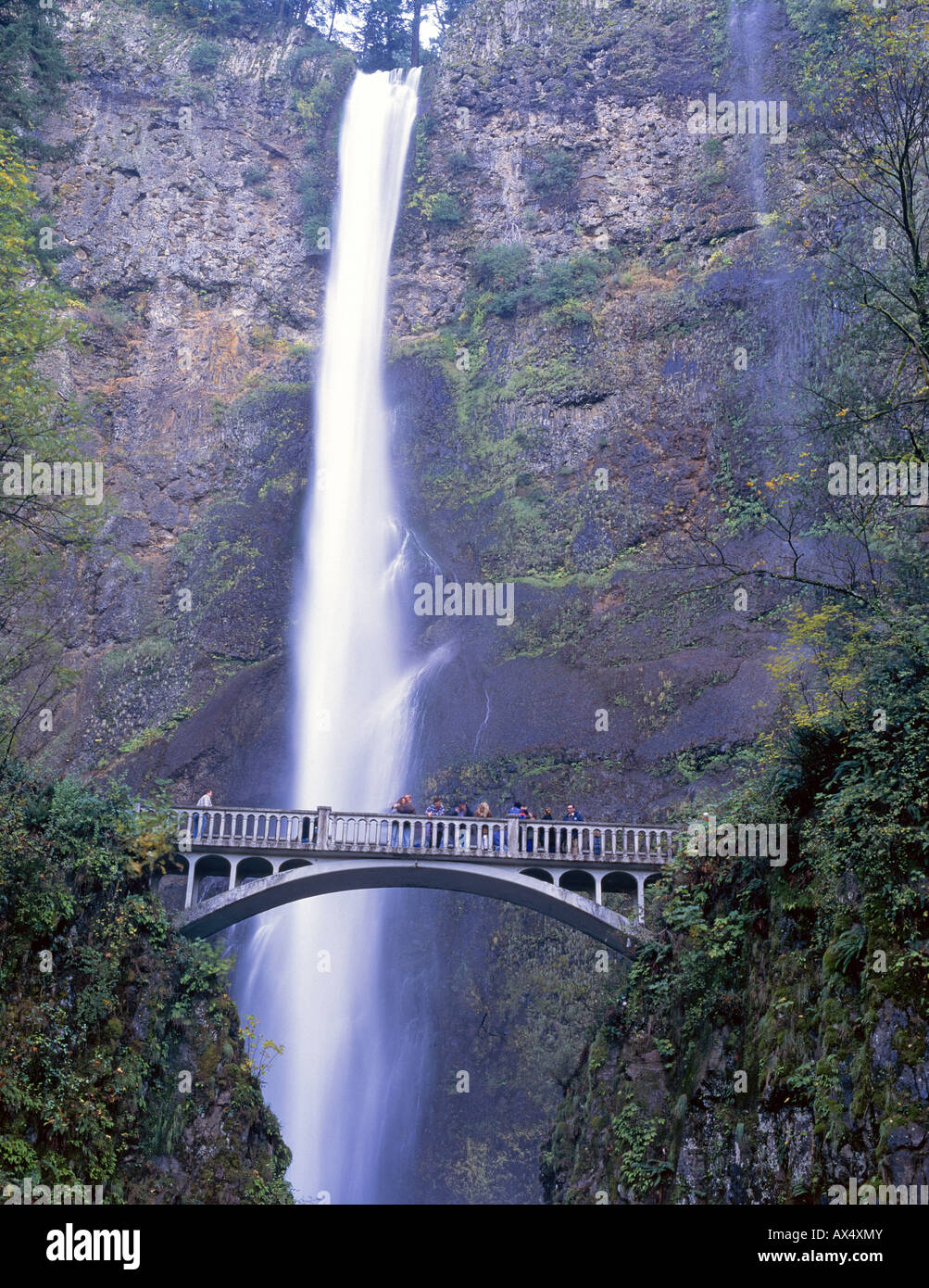 Eine Ansicht der Multnomah Falls Oregon s am meisten besuchte Attraktion Stockfoto