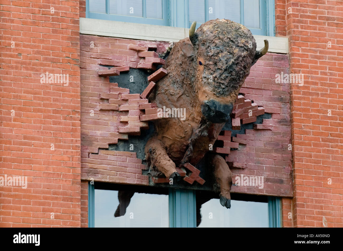 Bison Motiv Rockwell Museum of Western Art Gaffer District Corning New York Steuben County Finger Lakes Stockfoto