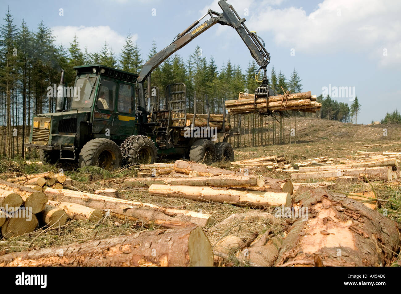Weiterleitung von Holz Carmarthenshire Wales Stockfoto