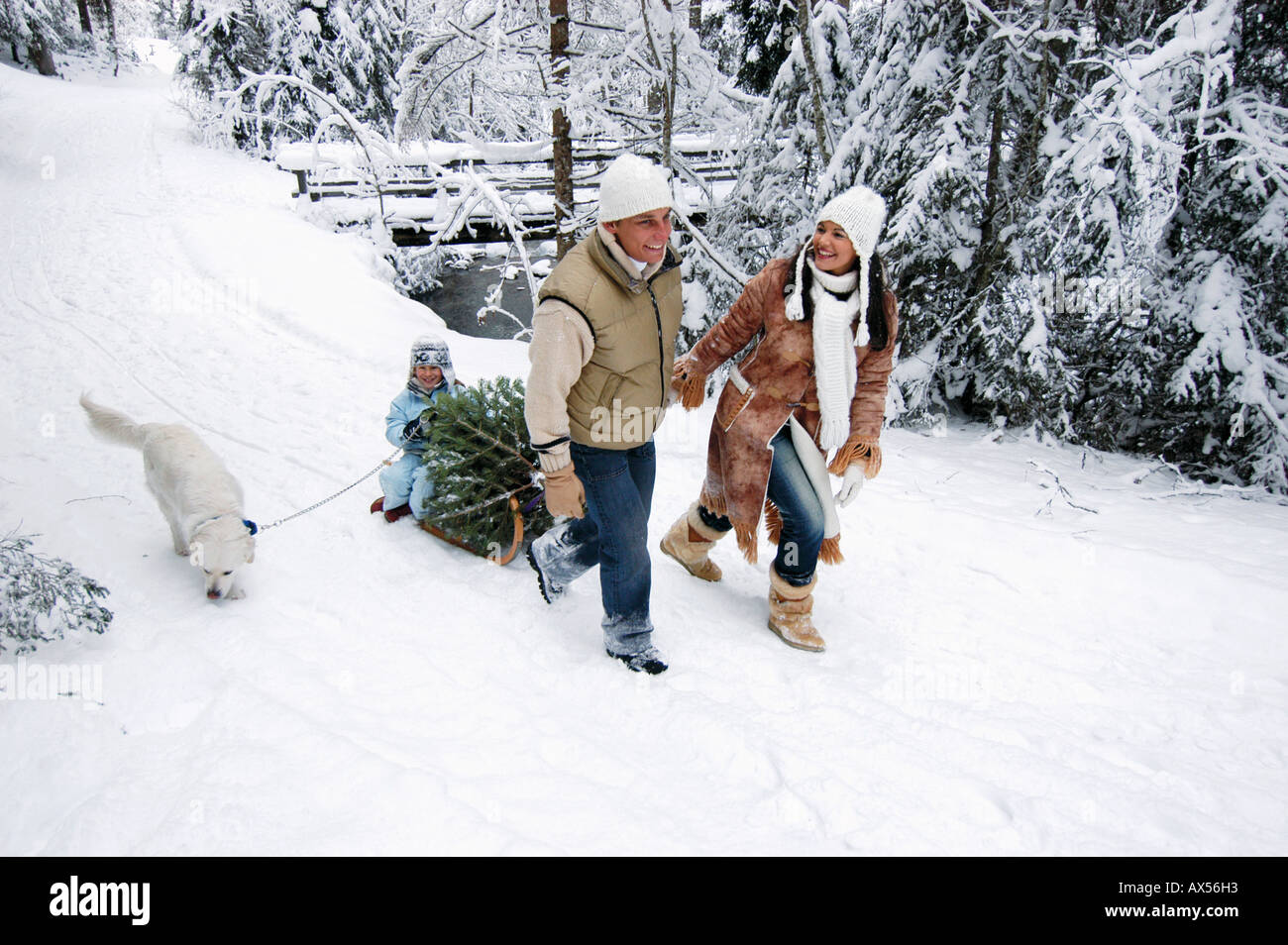 Österreich, Salzburger Land, Familie mit Hund und Weihnachtsbaum auf Schlitten Stockfoto