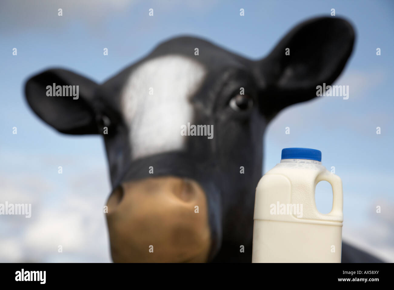 Pint Milch In Einem Kunststoff Karton Vor Nachahmung Kuh Fiberglas Für  Bildungszwecke Genutzt, Um Kinder Zu Unterrichten Stockfotografie - Alamy