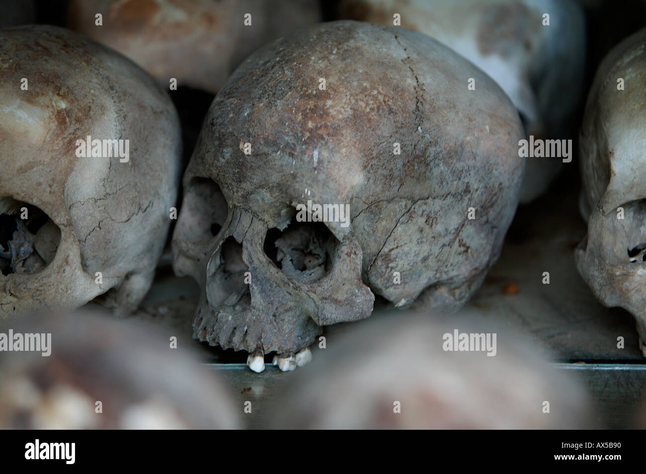 Schädel in Memorial Stupa in Tötung Felder von Choeung Ek 15km von Phnom Penh Kambodscha Zentralasien ausgesetzt Stockfoto