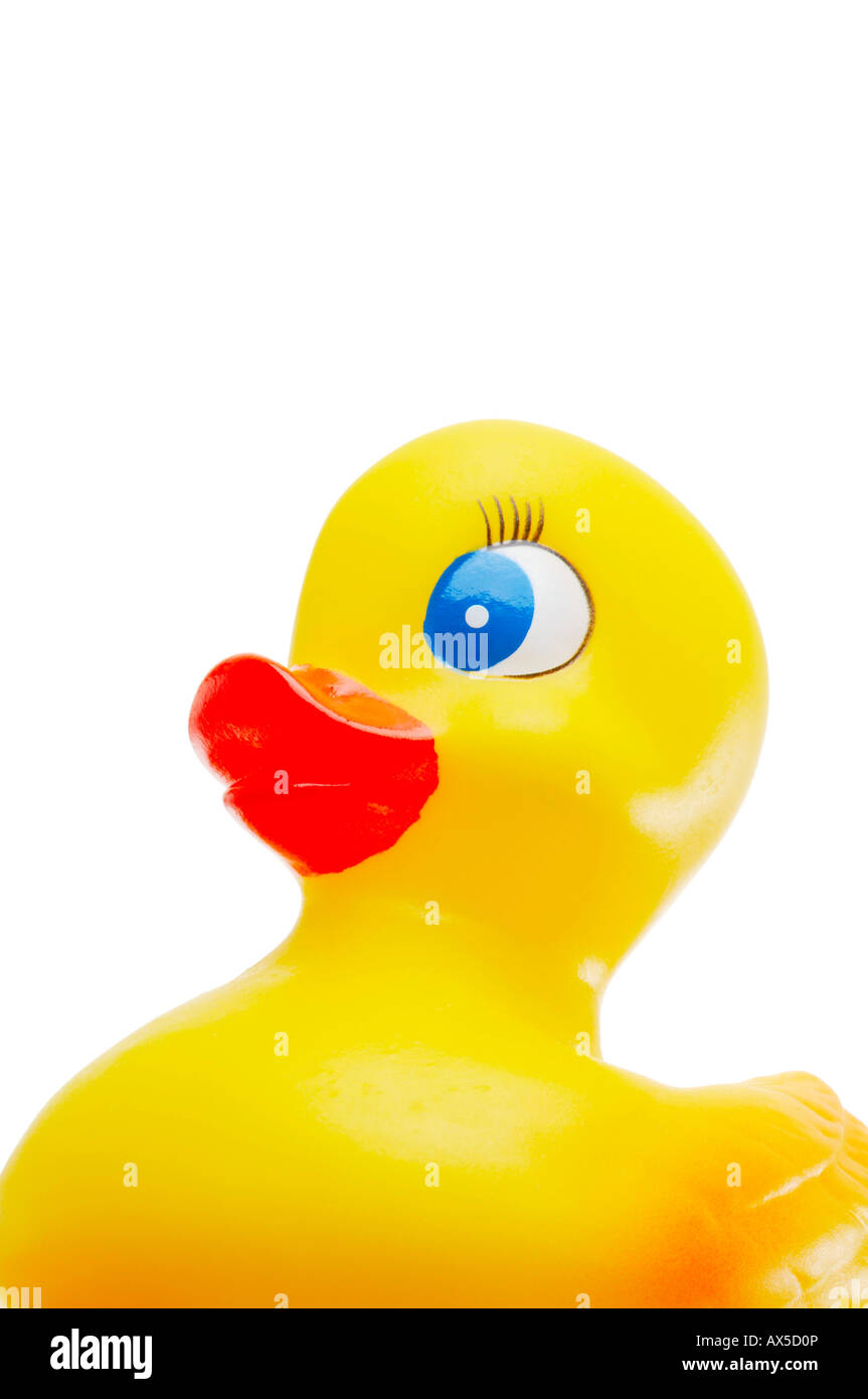Gummiente Stockfoto