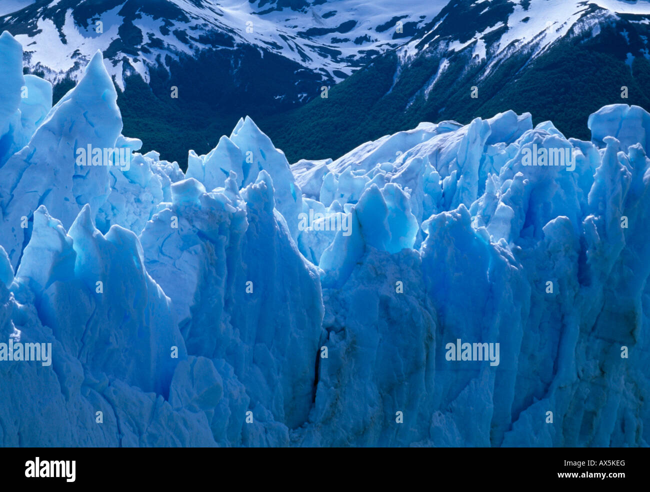Perito Moreno Gletscher, Patagonien, Provinz Santa Cruz, Argentinien, Südamerika Stockfoto