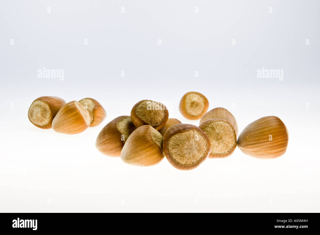 Haselnüsse, gemeinsame Haselnüsse (Corylus Avellana) Stockfoto