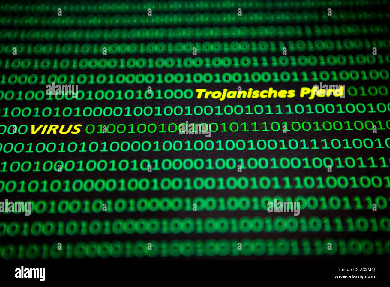 Computer-Virus, "Virus" und "Trojanischen Pferdes" (Deutsch) in gelb zwischen Bit Codierung in einem Computer-Datenstrom geschrieben Stockfoto