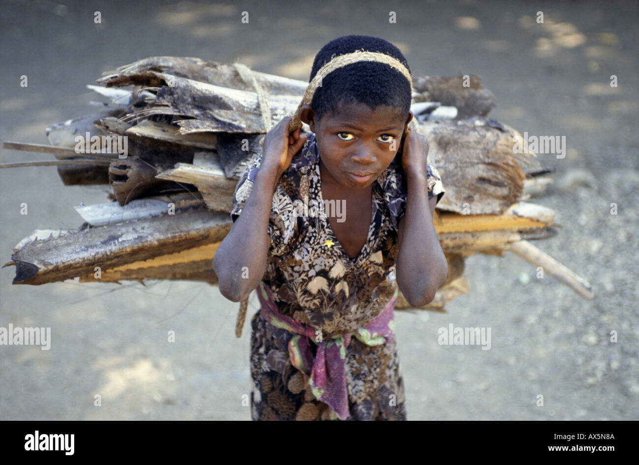 Africa firewood -Fotos und -Bildmaterial in hoher Auflösung – Alamy