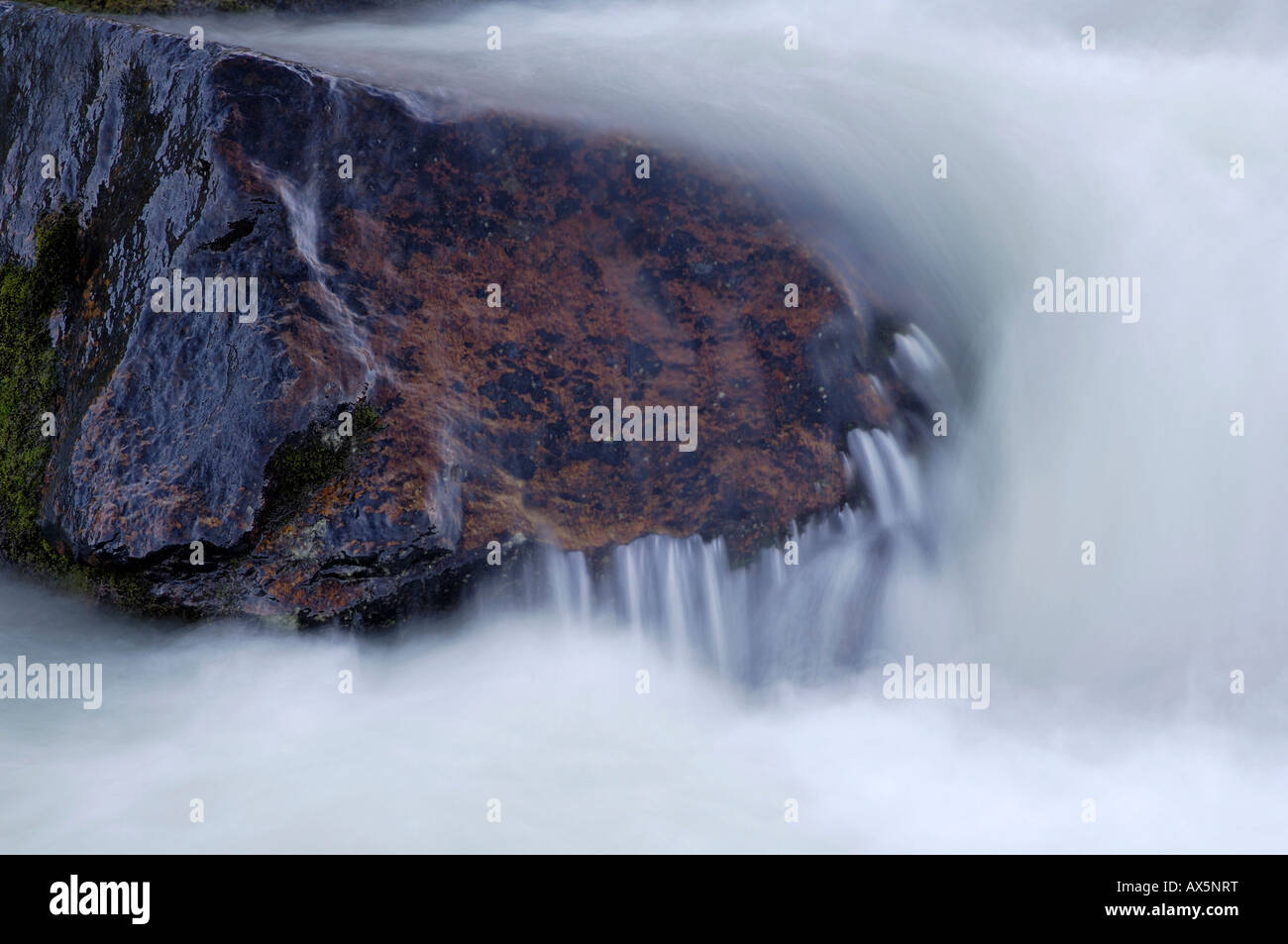 Detail, Rock in einem Mountain Stream, Stubaier Alpen, Nord-Tirol, Österreich, Europa Stockfoto