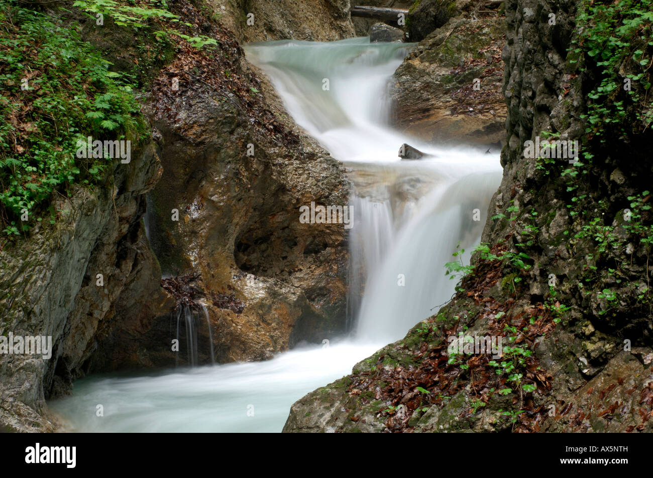 Stream, Wolfsklamm (Wolfsschlucht), Stans, Nord-Tirol, Österreich, Europa Stockfoto