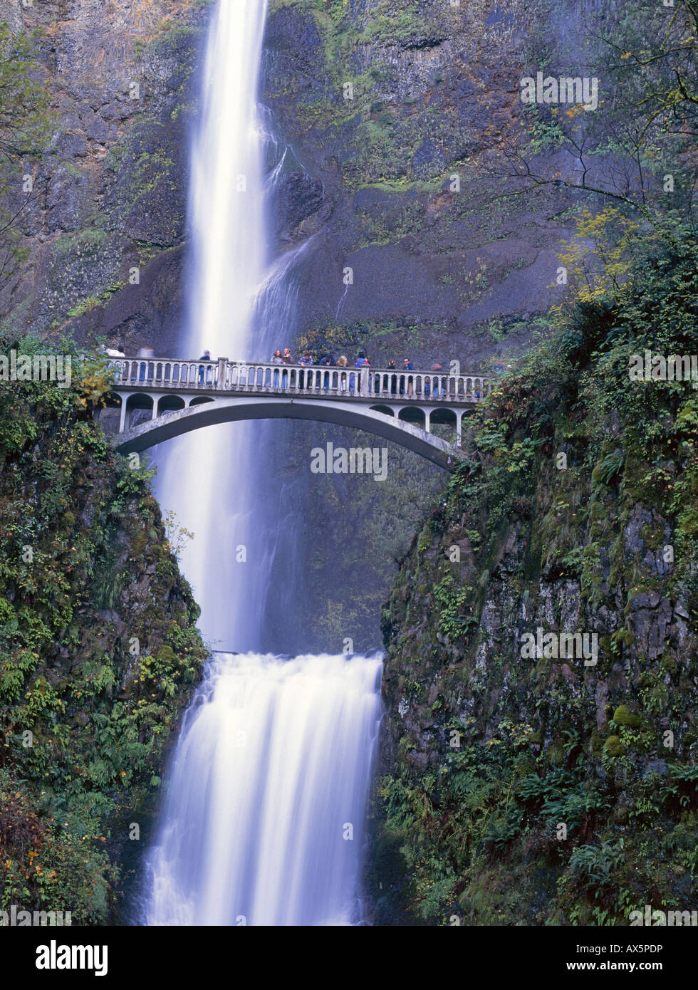 Eine Ansicht der Multnomah Falls Oregon s am meisten besuchte Attraktion Stockfoto