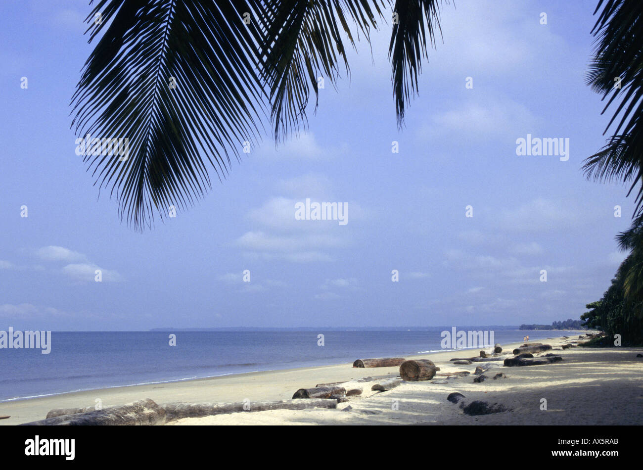 Libreville, Gabun. Strand mit überhängenden Palm verlässt. Stockfoto