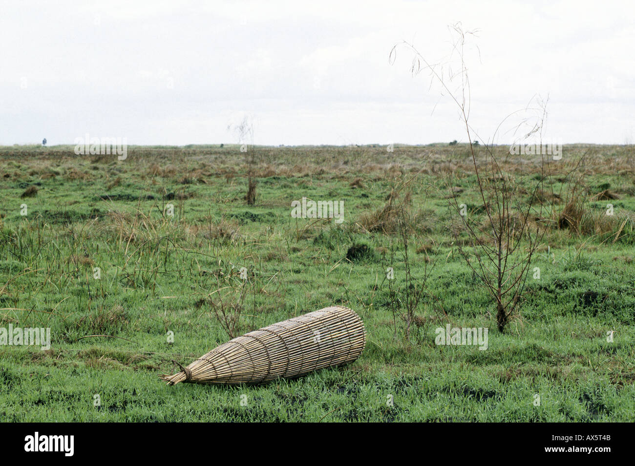 Lake Bangwelu, Sambia, Afrika. Aussicht auf neue Gräser auf den Auen mit einer ausrangierten Fischfalle. Stockfoto