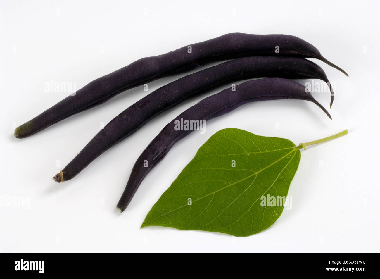 Grüne Bohnen Stockfoto