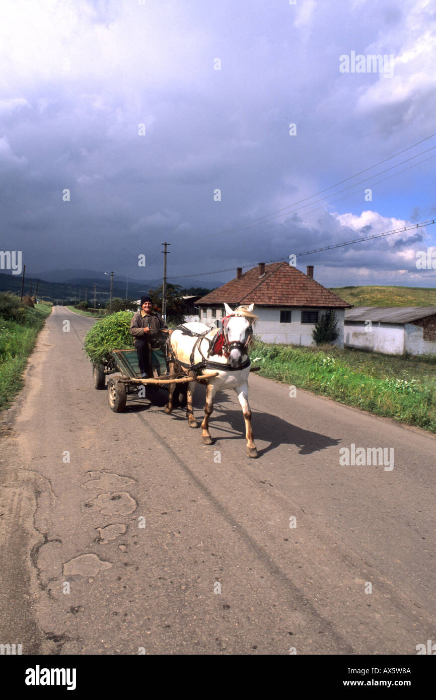 Mann auf alten altmodischen Pferd gezeichnet Wagen mit Getreide in Rumänien in der Nähe von Bran Stockfoto