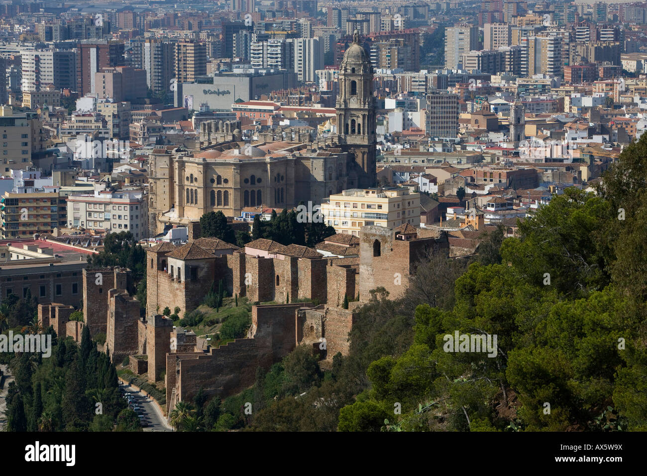 Blick auf Dom und Hochhäuser in Málaga, Andalusien, Spanien, Europa Stockfoto