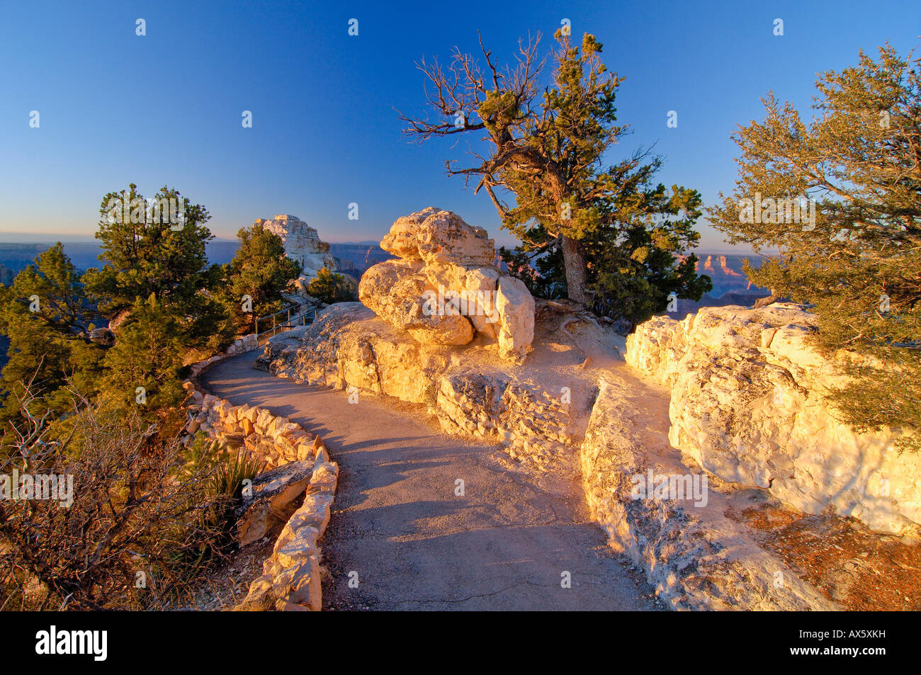 Weg zum Bright Angel Point, Grand Canyon Lodge North Rim, Grand Canyon National Park, Arizona, USA, Nordamerika Stockfoto