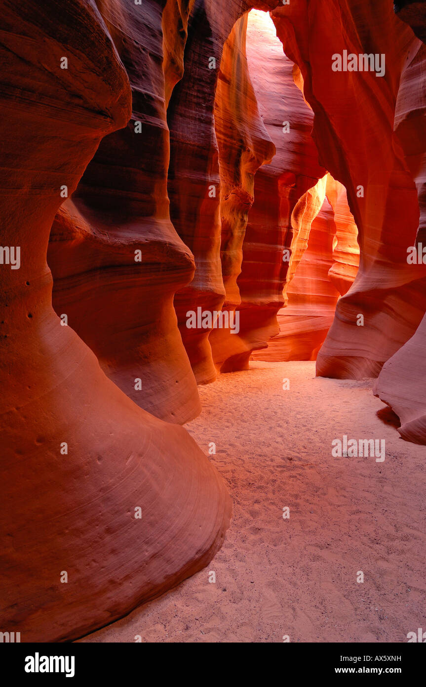 Sandsteinformation im Upper Antelope Canyon, Slot Canyon Arizona, USA, Nordamerika Stockfoto