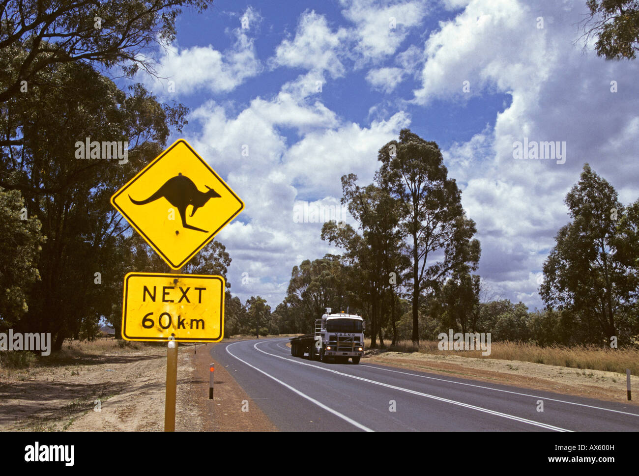 Schild zum Kangaroo Crossing auf einer Autobahn in Western Australia, Australien Stockfoto