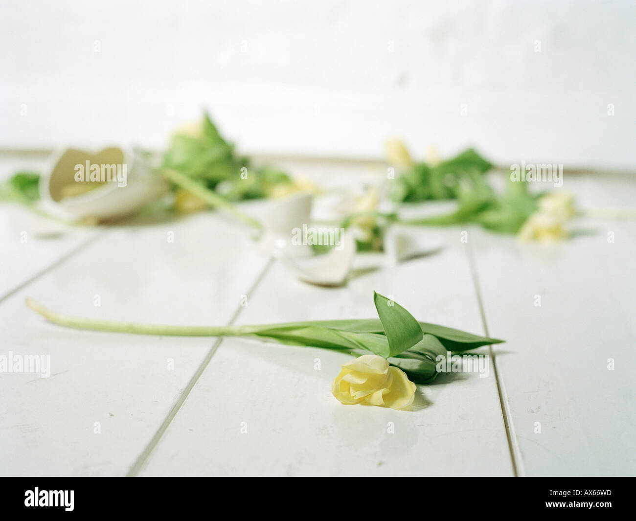 Zerbrochene Vase und Blumen am Boden Stockfoto