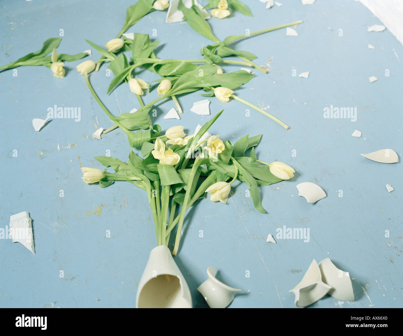 Zerbrochene Vase und Blumen am Boden Stockfoto