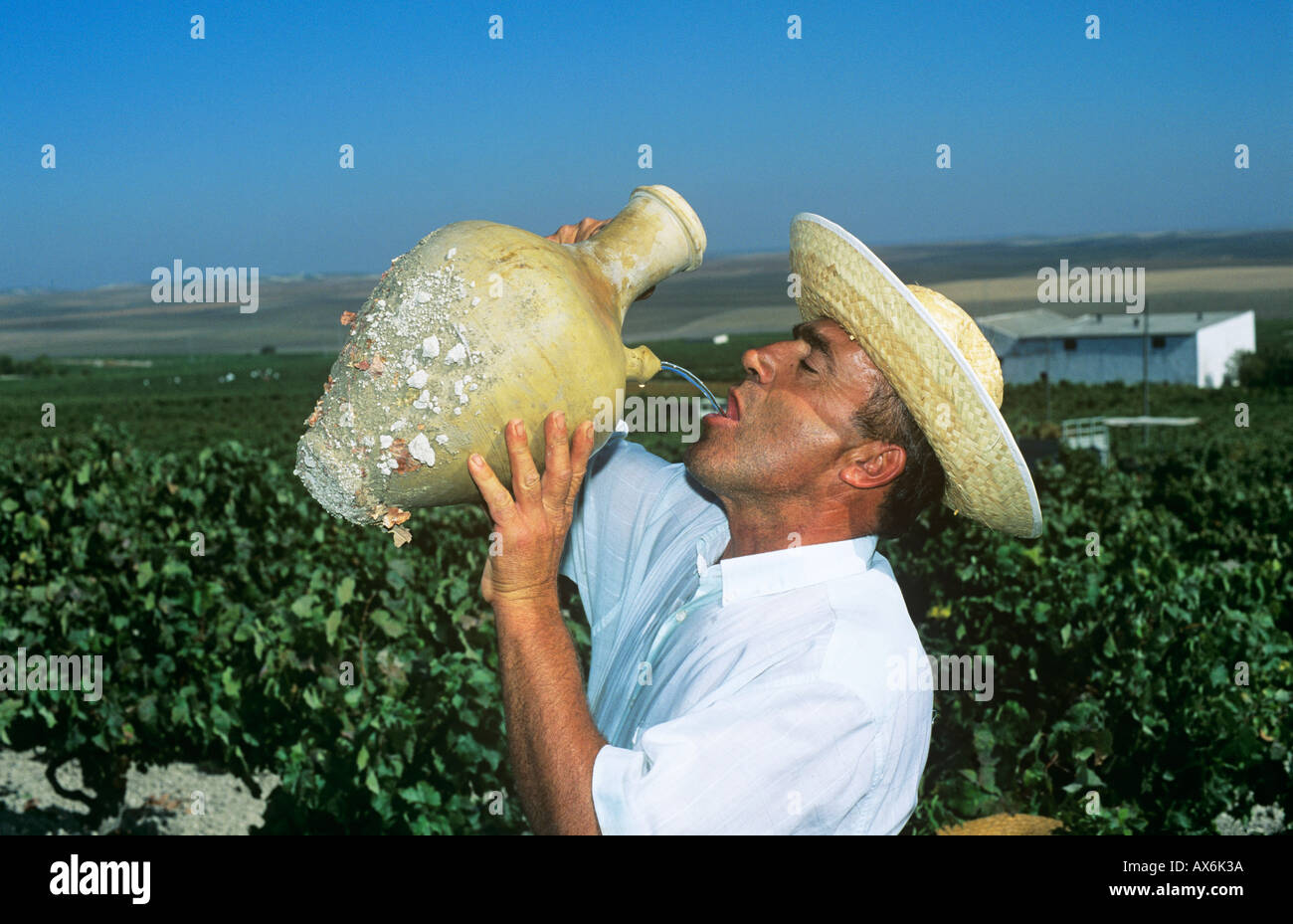 Jerez De La Fontera, Sherry Harvest. Cadiz, Spanien. Stockfoto