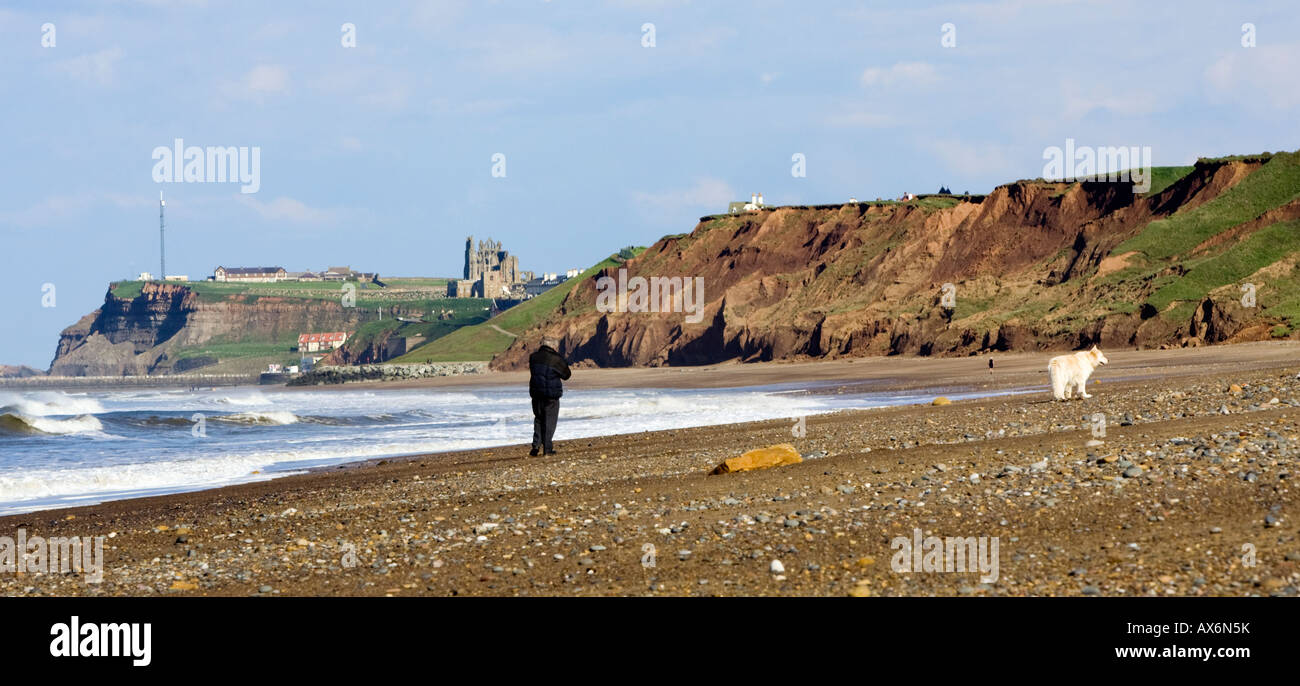 Ein Spaziergang mit dem Hund am Strand von Upgang, Whitbys mit Whitby in der Ferne Mann Stockfoto
