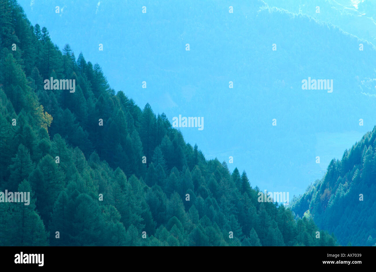 Val Senales (Schnalstal) Trentino Alto Adige Italien Stockfoto