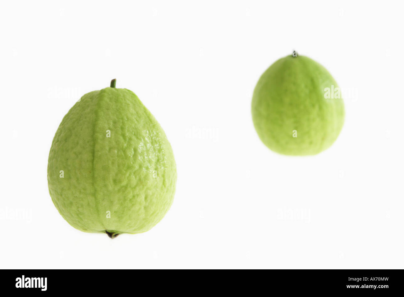 Grüne Guave auf weißem Hintergrund im Studio Stockfoto