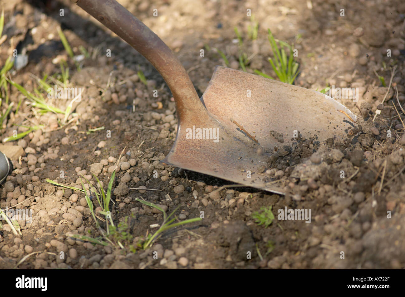 Nahaufnahme von Spaten Graben Erde auf Zuteilung London England UK GB Stockfoto
