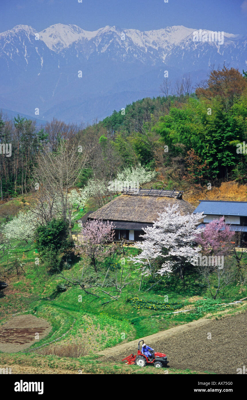 Die Frühlingslandschaft im Nakagawa Village in Nagano Japan Asien Stockfoto