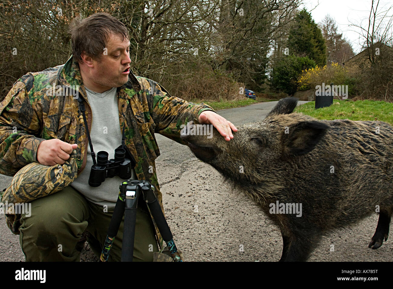 Wildschwein mit Wildlife-Enthusiasten. Forest of Dean, UK Stockfoto