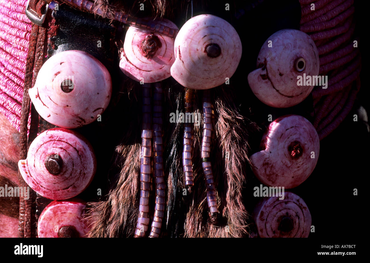 Ovambo Tracht Shell Omba Accessoires Norden Namibias Stockfoto