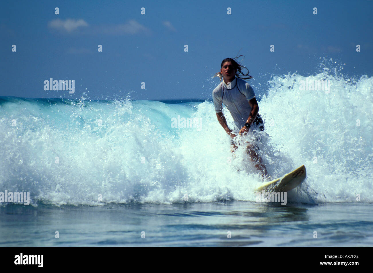 Surfer auf einer Welle in der Sonne, Costa Rica, Karibik, Amerika Stockfoto