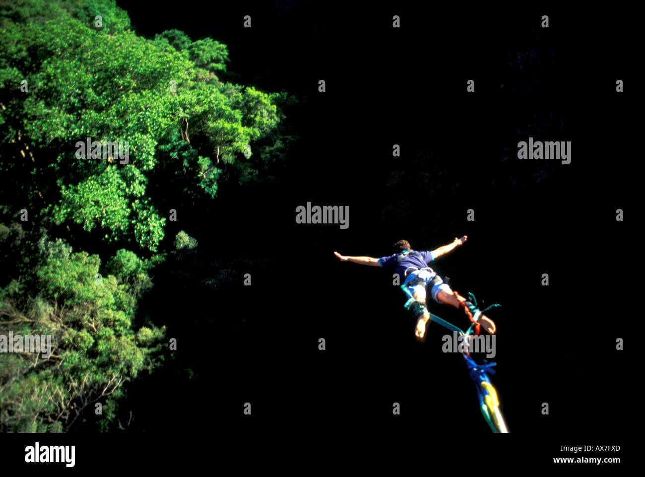 Ein Mann Bungee-Jumping im Dschungel, Costa Rica, Karibik, Amerika Stockfoto