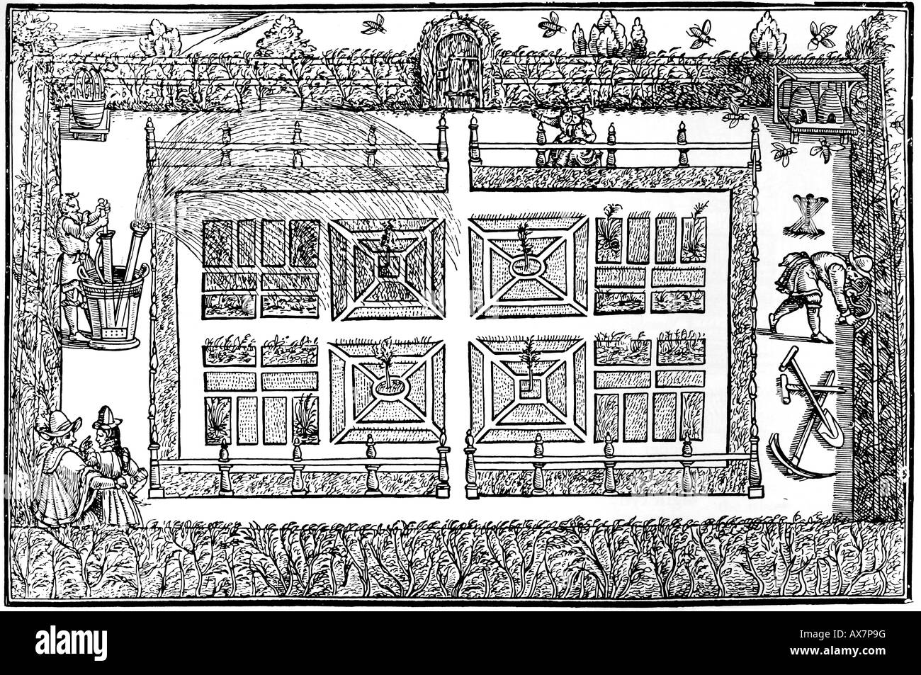 Von der Gärtner ist LABYRINTH von Thomas Hill veröffentlicht in 1586 zeigt eine Wasserpumpe im Einsatz bei Links und eine Hecke im Garten Stockfoto