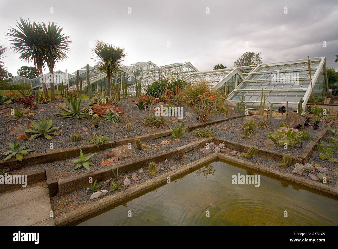 Kew Gardens Kakteen und Sukkulenten, neues Glashaus Stockfoto