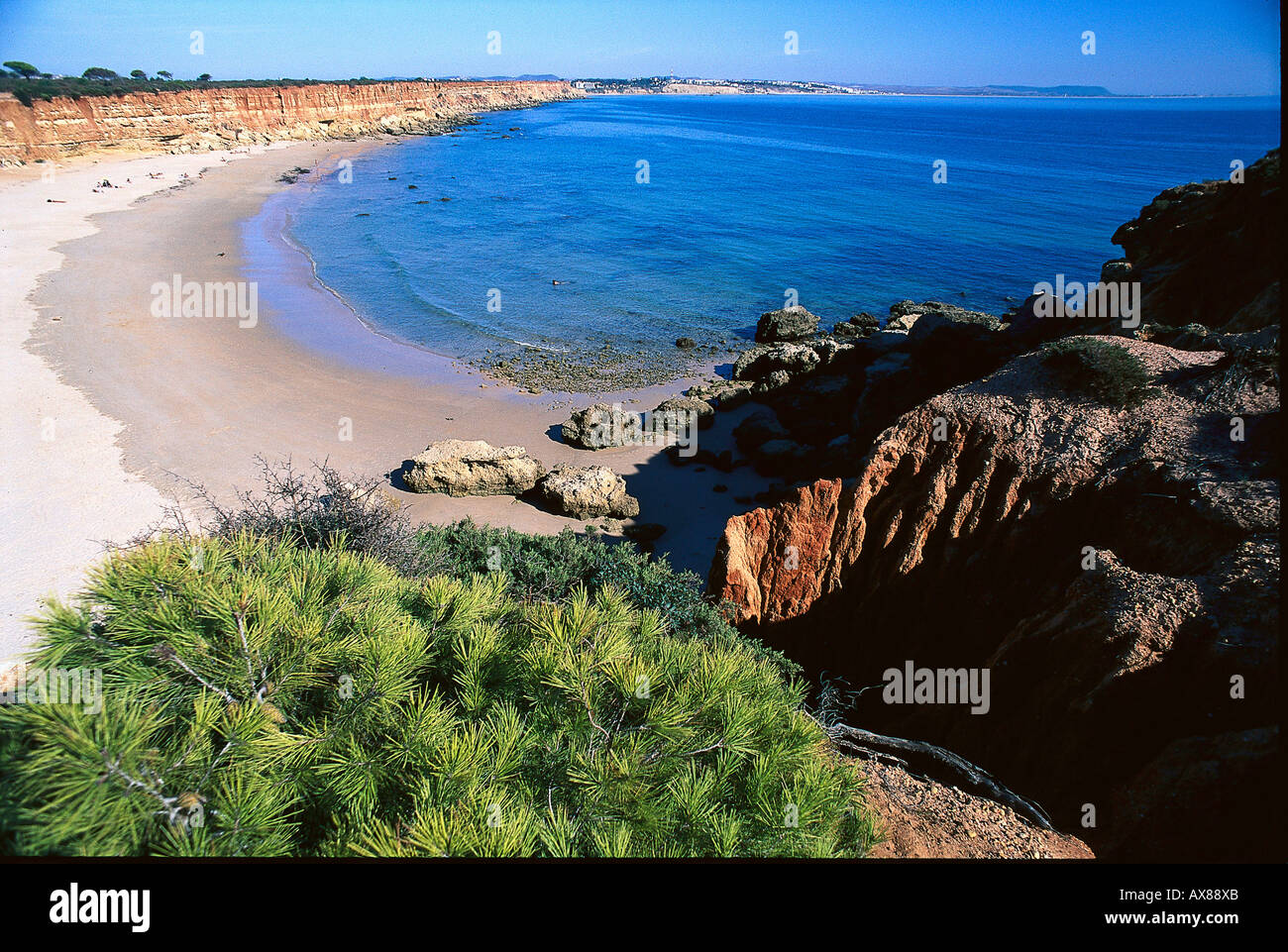 Geschwungene Sandstrand in der Sonne, Playa Cala del Aceite, Conil De La Frontera, Costa De La Luz, Andalusien, Spanien, Europa Stockfoto