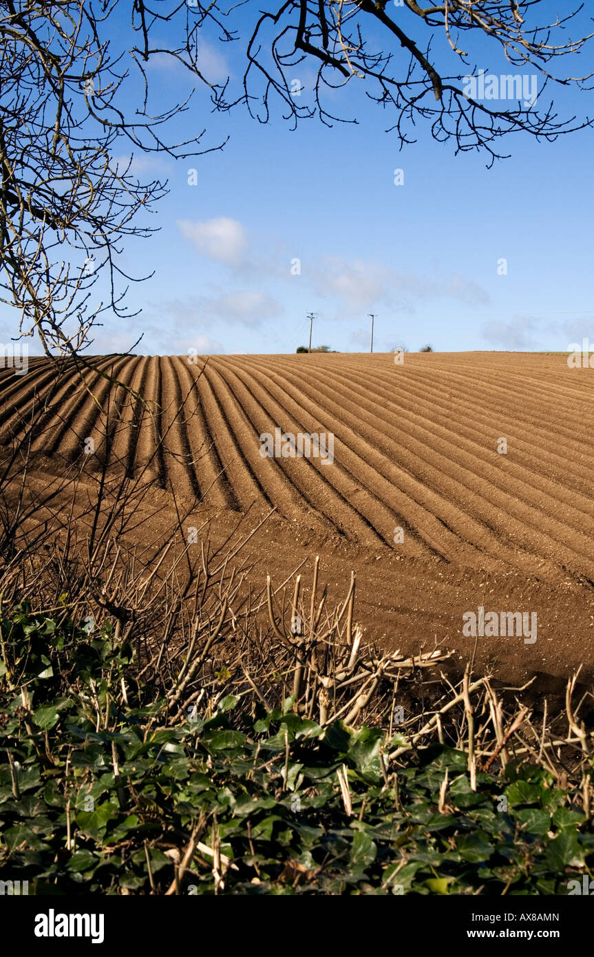 Frisch gepflügten Felder im Frühling - North County Dublin, Irland Stockfoto