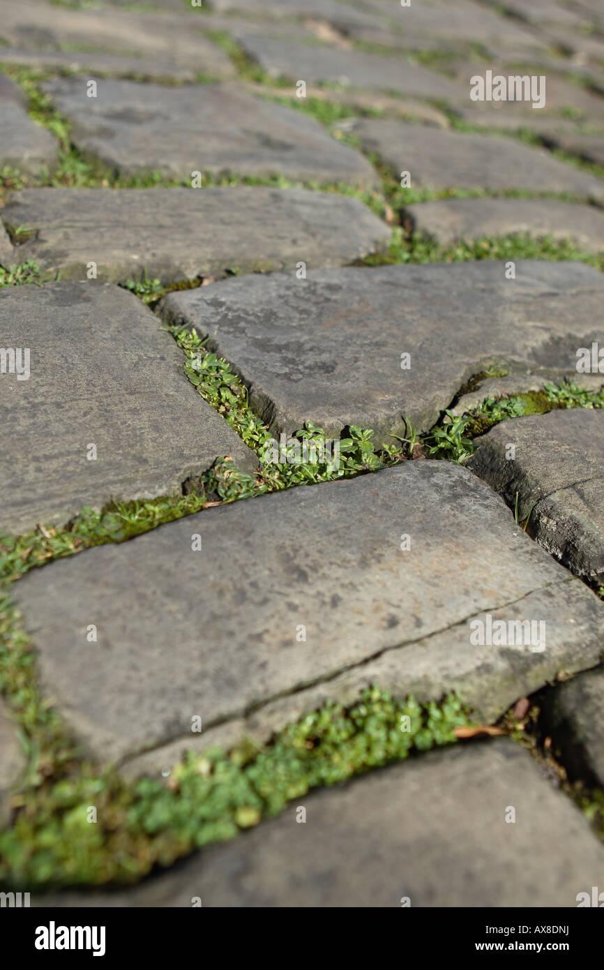 Cobble stone Straßenpflaster Detail nahe Vikare in Wells, Somerset Stockfoto