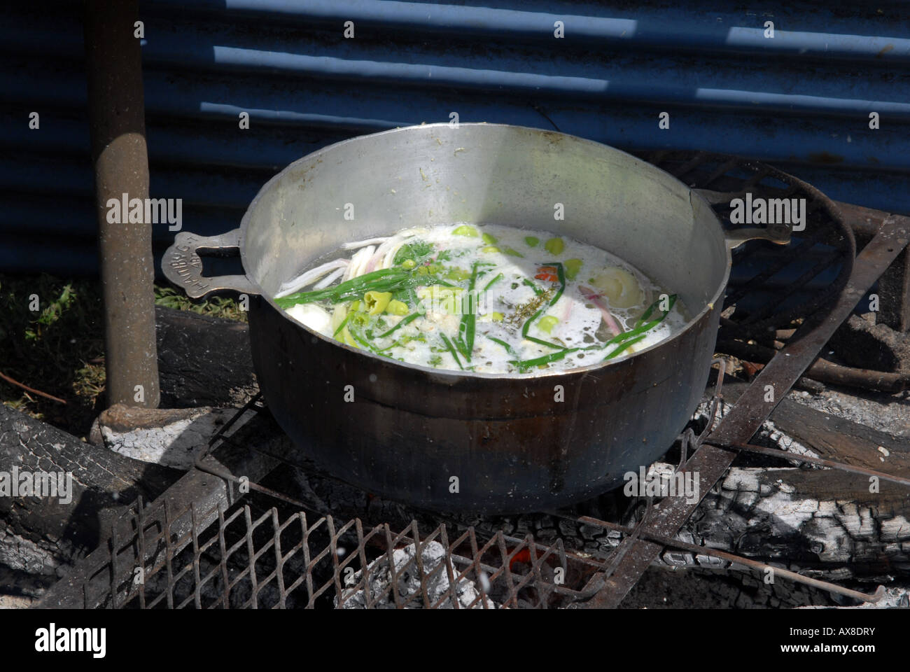 Ray-Fisch-Eintopf (Court-Bouillon) gekocht auf offenem Feuer grillen, kreolische Küche Stockfoto