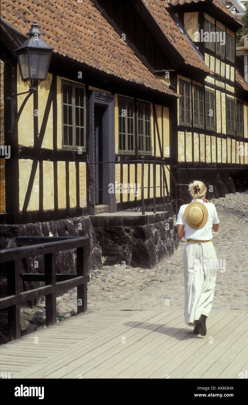 Den Gamle von Open Air Museum, Arhus, Juetland Dänemark Stockfoto