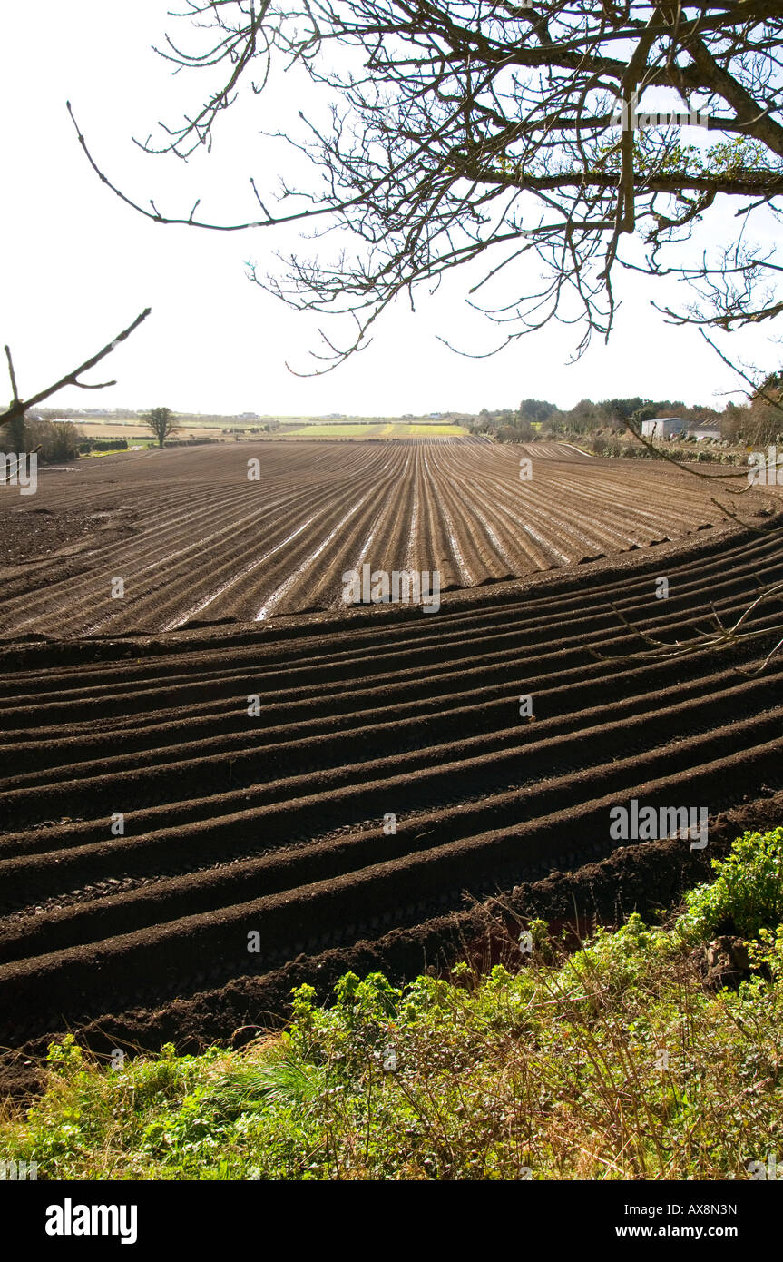 Frisch gepflügten Felder im Frühling - North County Dublin, Irland Stockfoto