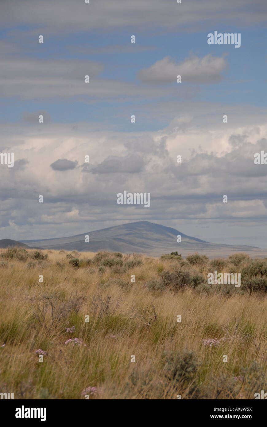 High Desert Land, Columbia Basin, Washington. Stockfoto