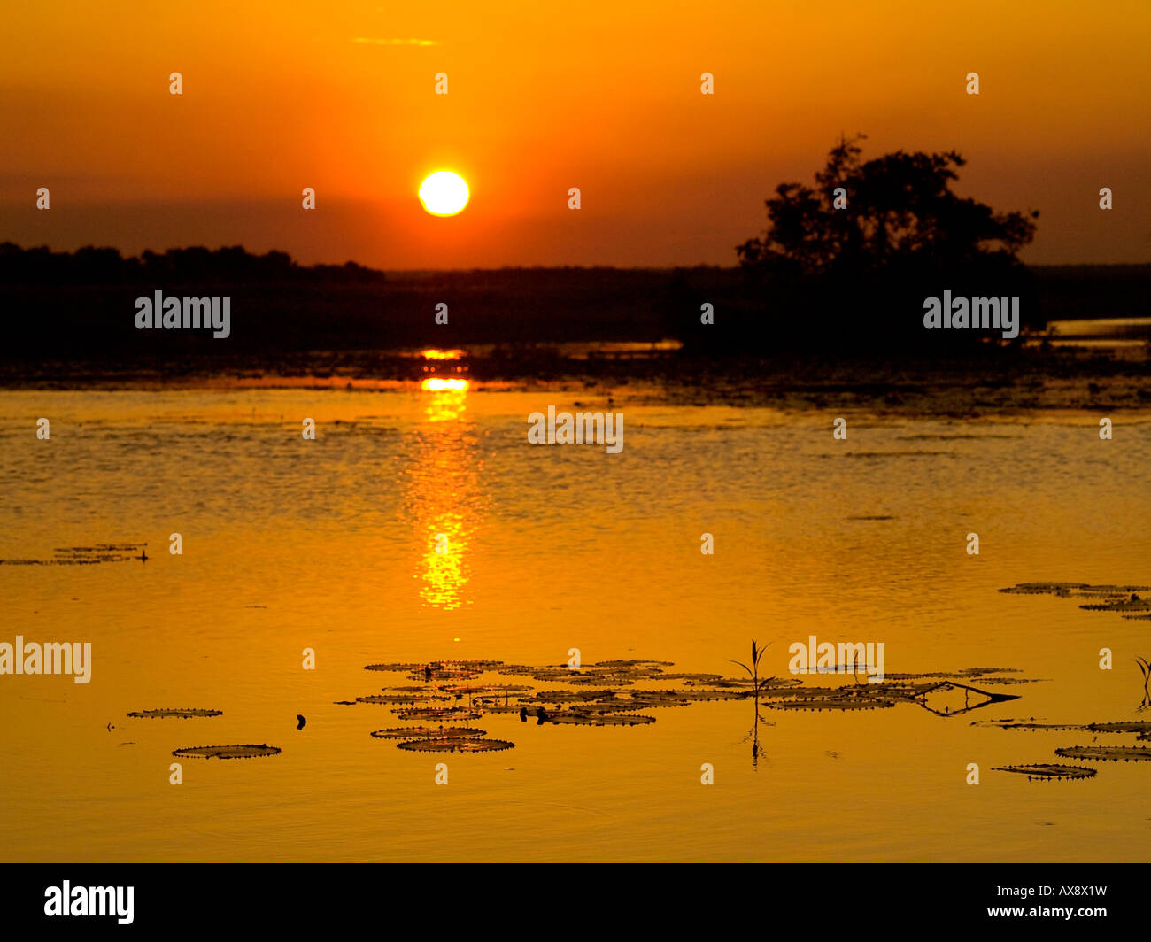 Cooper Creek Billabong Sonnenuntergang nördlichen Territorien Australien Stockfoto