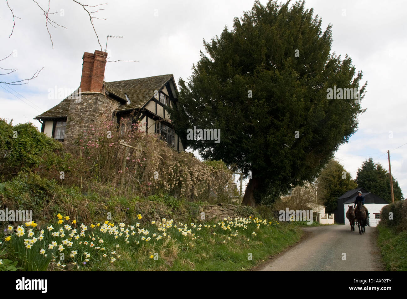 Yew Tree Cottage und Horserider in der Nähe von Woodseaves Eardisley Herefordshire Stockfoto