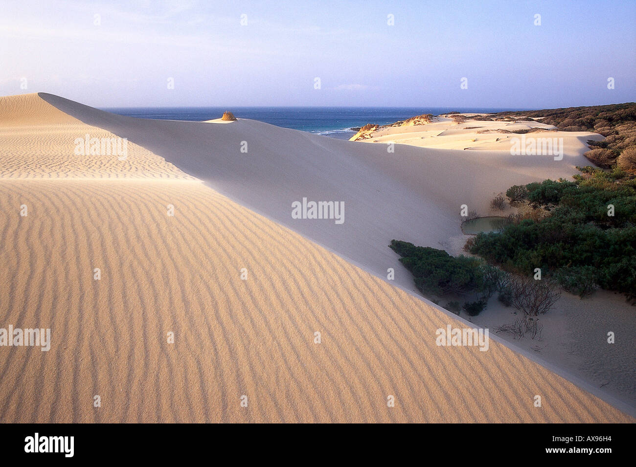 Verlagerung der Sanddüne, Punta Paloma, in der Nähe von Tarifa, Costa De La Luz, Atlantik, Provinz Cádiz, Andalusien, Spanien Stockfoto