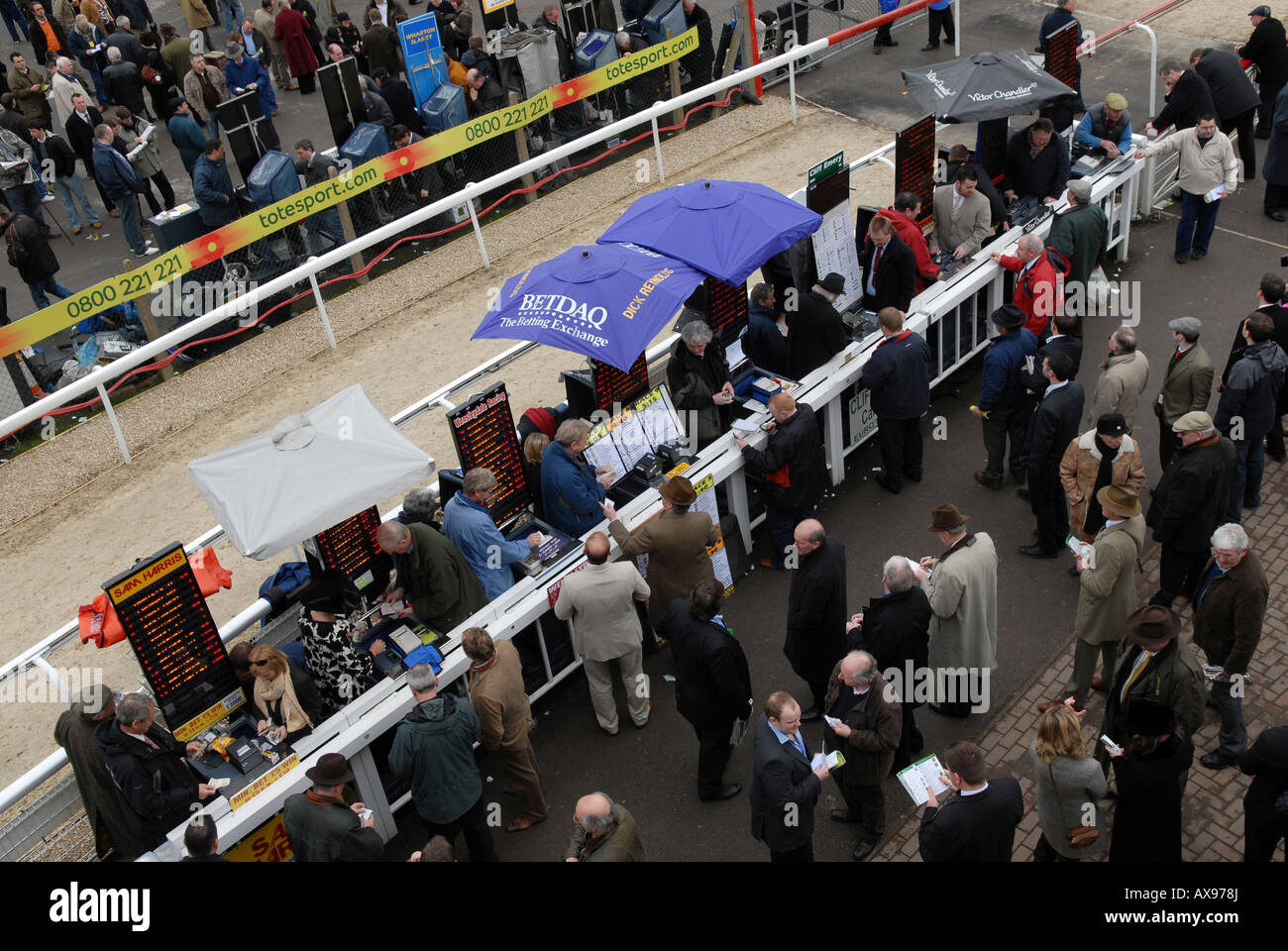 Buchmacher, die Geschäfte am Gold Cup Tag Prestbury Racecourse in Cheltenham National Hunt Festival Stockfoto
