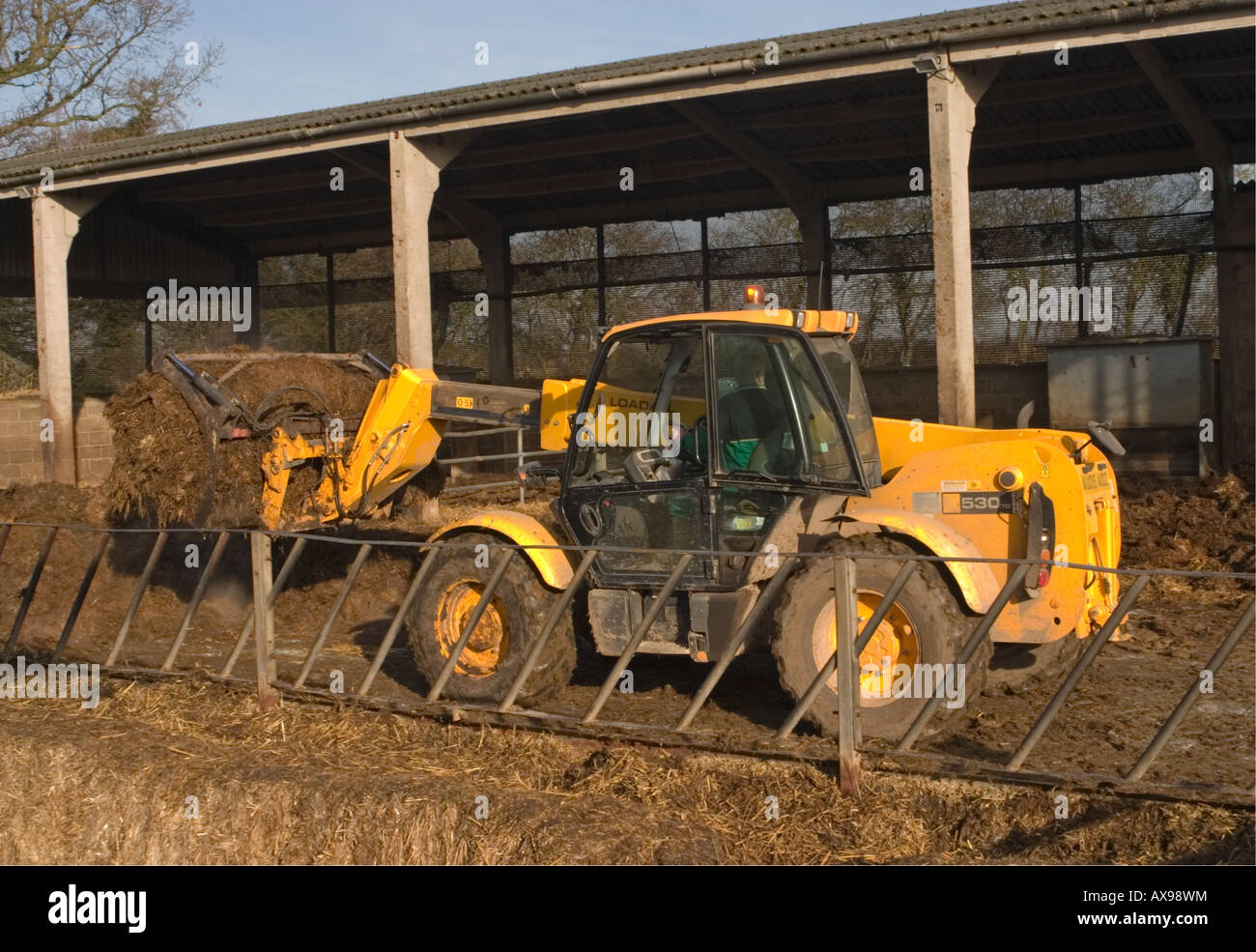 Ein Lader ein Viehhof Ausmisten Stockfoto